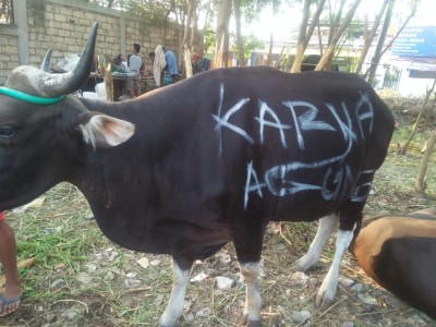 KURBAN PADA IDUL ADHA TAHUN AGUSTUS 2019